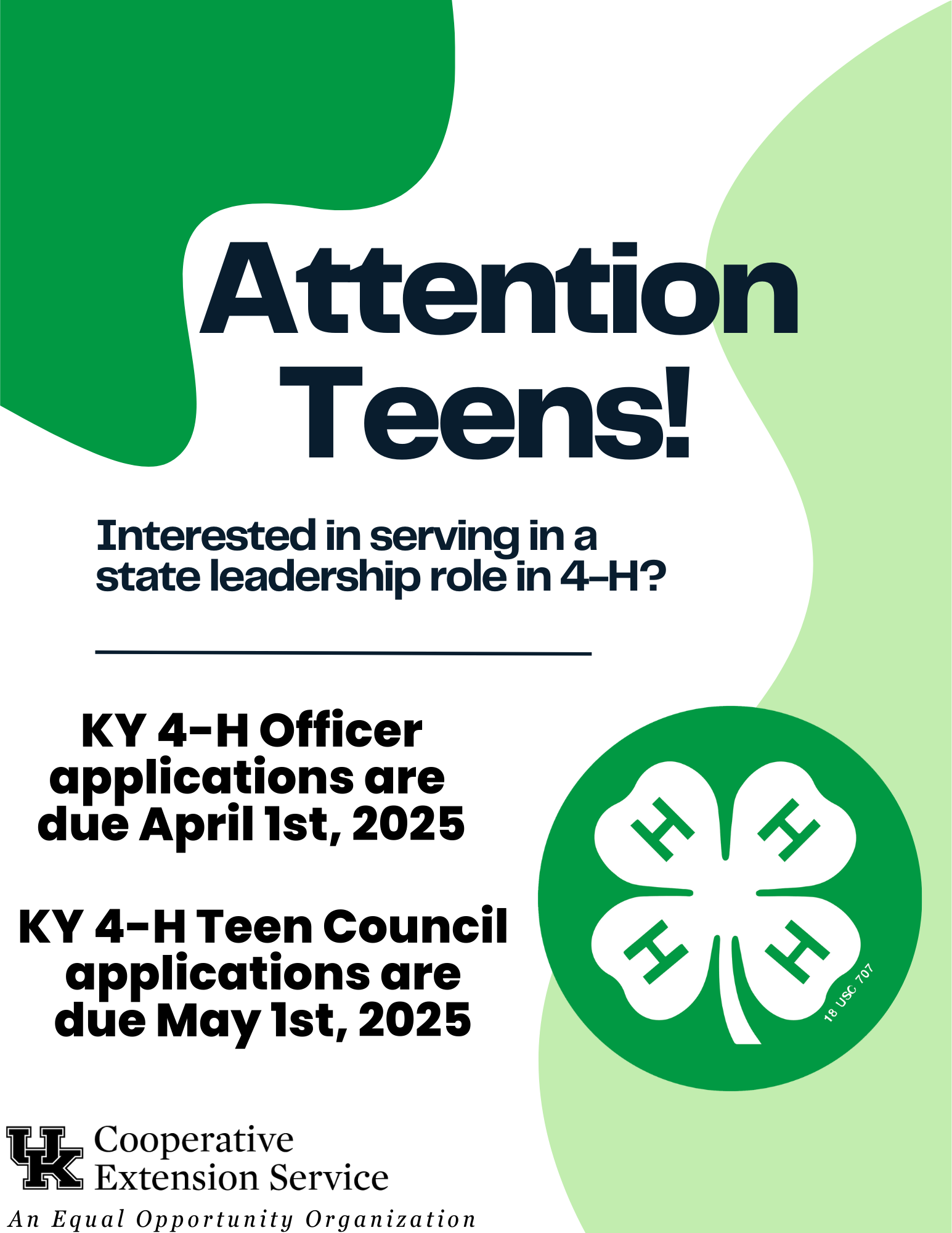 State 4-H Leadership Role