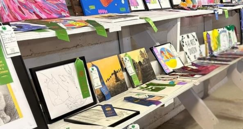 fair entries