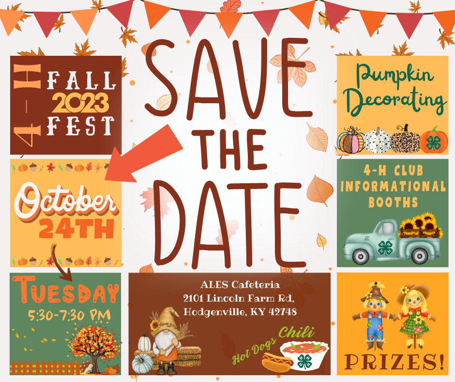save the date flyer with informational boxes