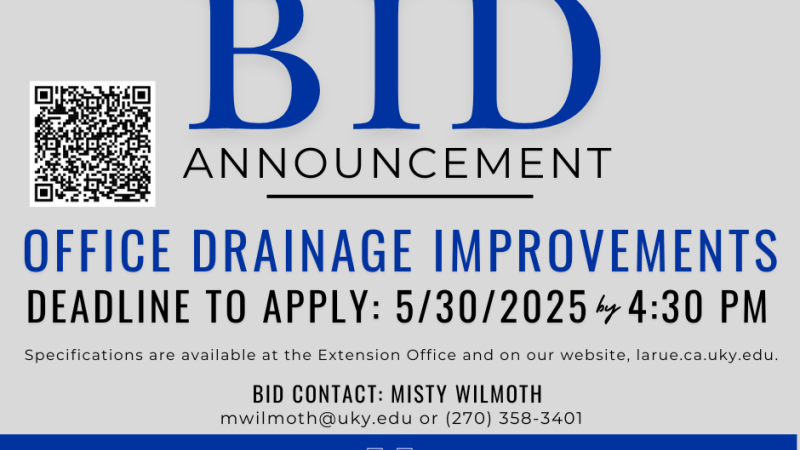 gray and blue bid flyer