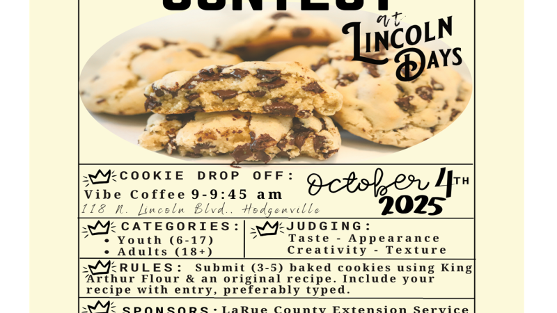 contest flyer image
