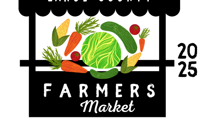 vegetables in middle of market stand
